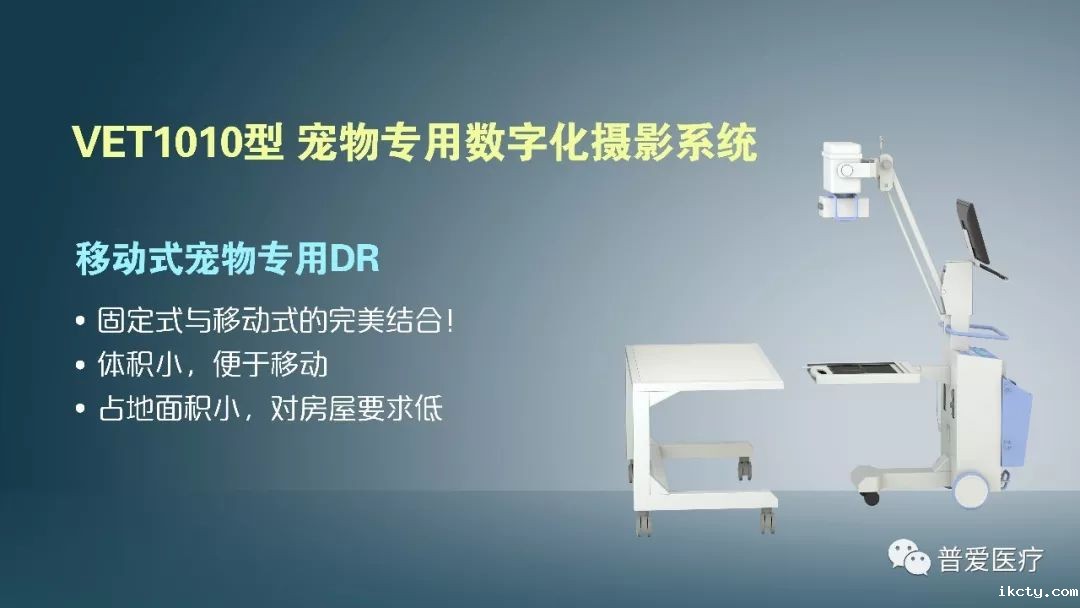 以仁医之心关爱宠物健康 以仁医之心关爱宠物健康