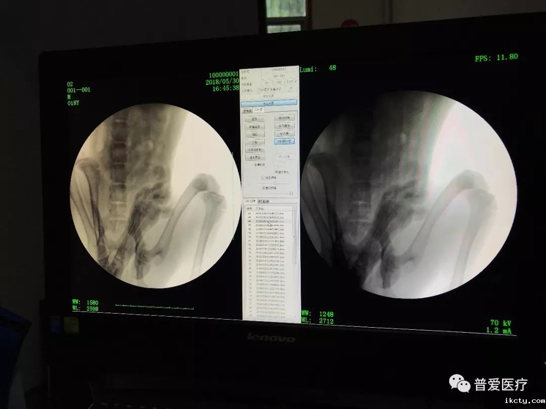 以仁医之心关爱宠物健康 以仁医之心关爱宠物健康