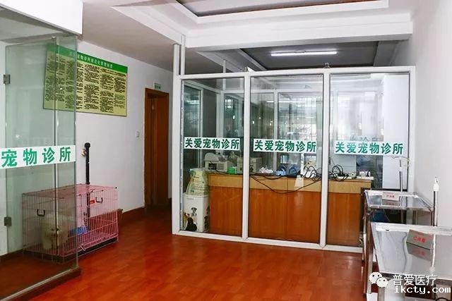 以仁医之心关爱宠物健康