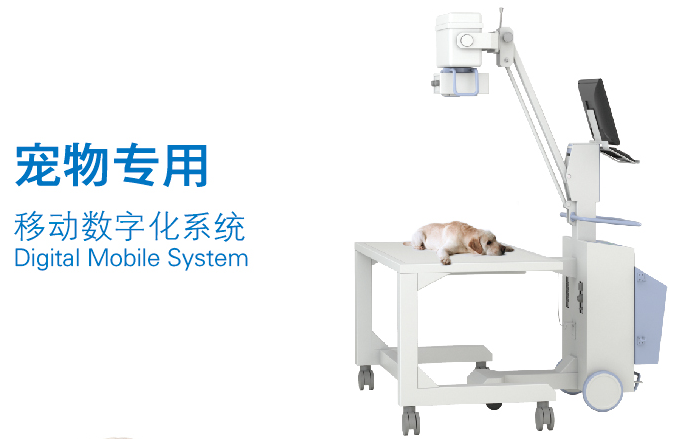华体会体育登入首页宠物dr
